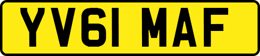 YV61MAF