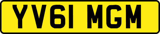 YV61MGM