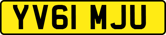 YV61MJU