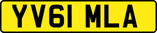 YV61MLA