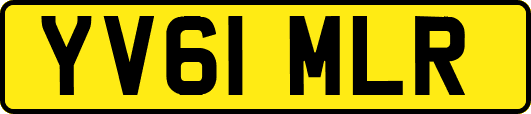 YV61MLR