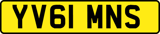 YV61MNS