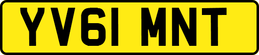 YV61MNT