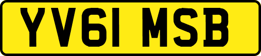 YV61MSB