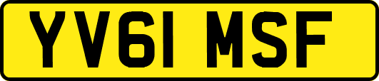 YV61MSF