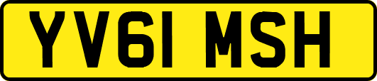 YV61MSH