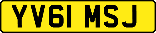 YV61MSJ