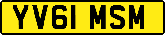 YV61MSM