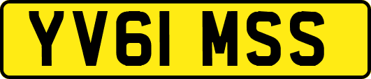 YV61MSS