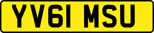 YV61MSU