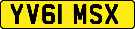 YV61MSX