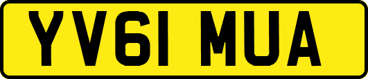 YV61MUA