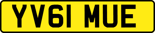 YV61MUE