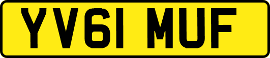 YV61MUF