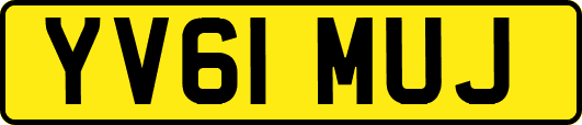 YV61MUJ
