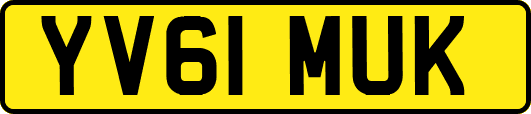 YV61MUK