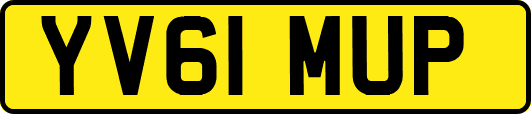 YV61MUP