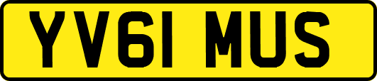 YV61MUS