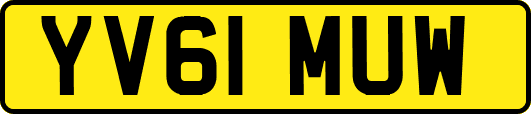 YV61MUW