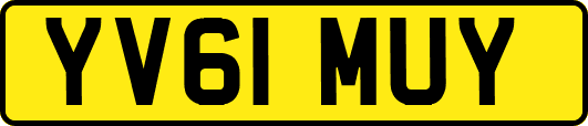 YV61MUY