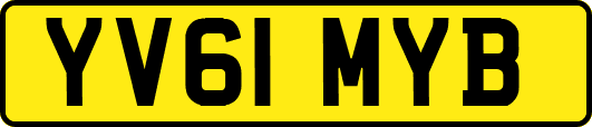 YV61MYB