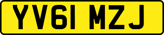 YV61MZJ