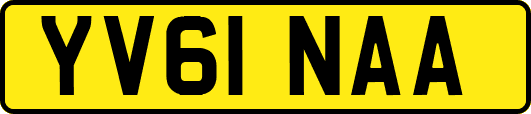 YV61NAA