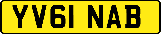 YV61NAB
