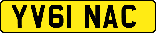 YV61NAC