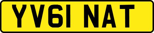 YV61NAT