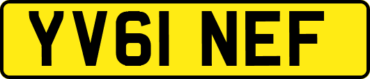 YV61NEF