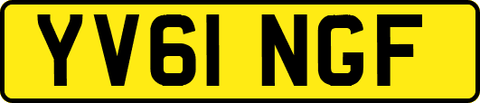 YV61NGF