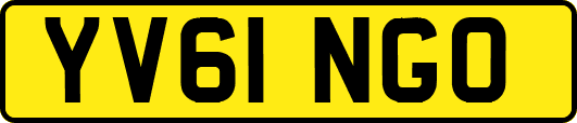 YV61NGO