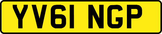 YV61NGP