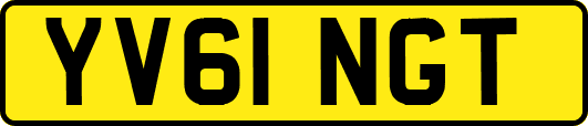 YV61NGT