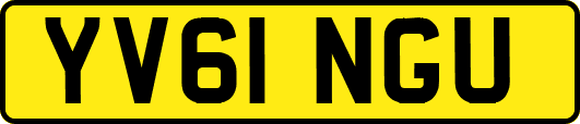 YV61NGU