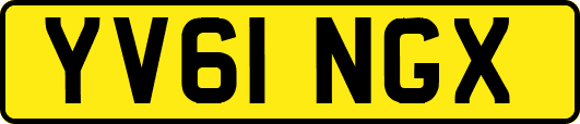 YV61NGX
