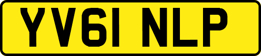 YV61NLP