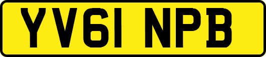 YV61NPB