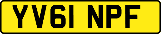 YV61NPF