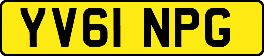 YV61NPG
