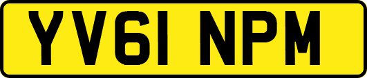 YV61NPM