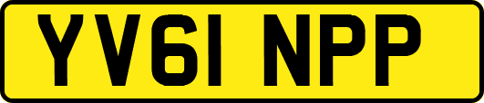 YV61NPP