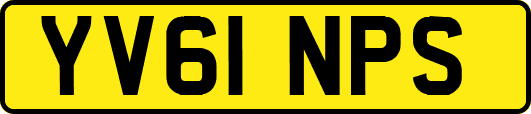 YV61NPS