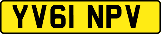 YV61NPV