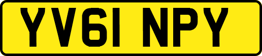 YV61NPY