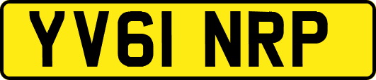 YV61NRP