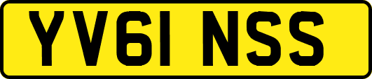 YV61NSS