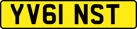 YV61NST