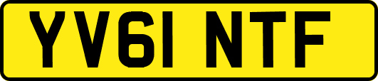 YV61NTF
